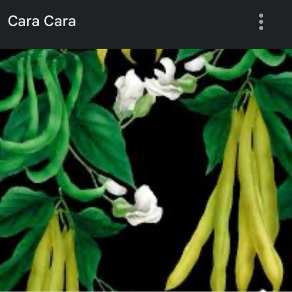 Cara Cara Blue Crop Top with Square Neckline and Short Puff Sleeves - Picture 5 of 6